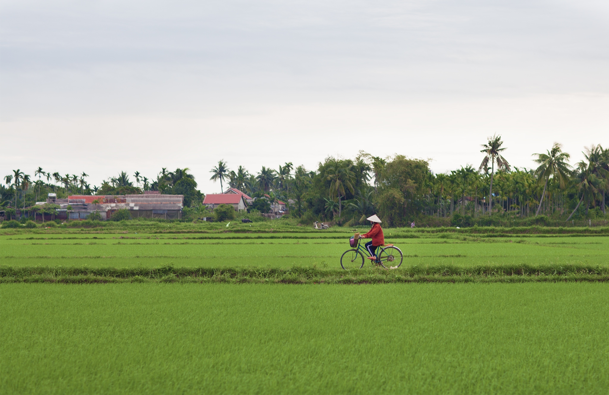 VIETNAM 101 - A quick guide to the Vietnam I fell in love with ⋆ Behind ...