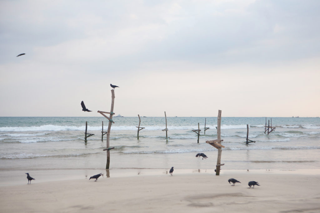 The Dying Tradition of Sri Lankan Stilt Fishing, Captured in