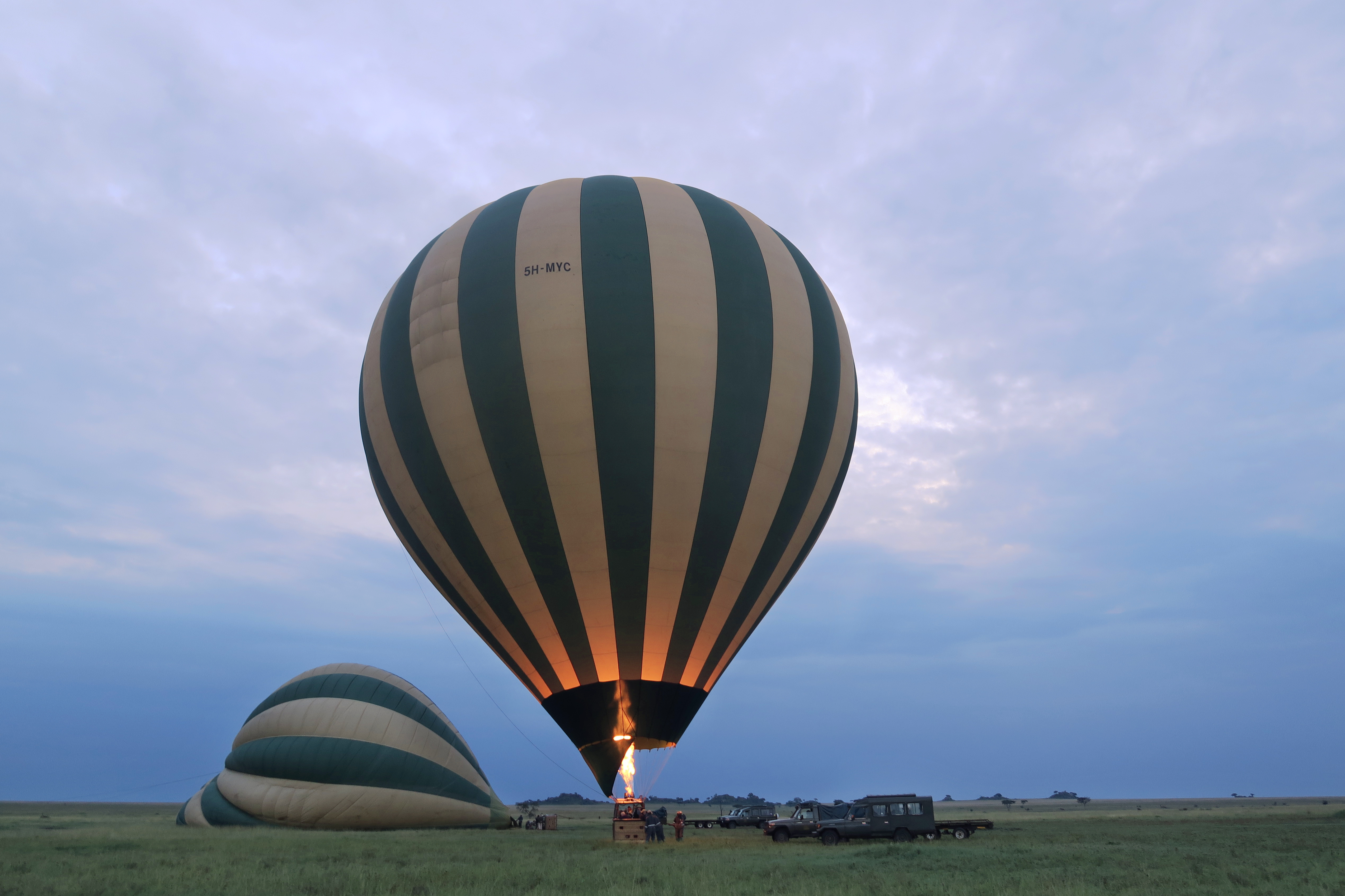 Serengeti balloon